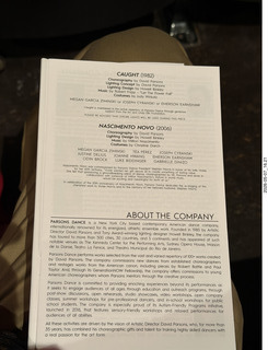 13 a2v. New York Cithy - Joyce Theater - Dave Parsons dance program