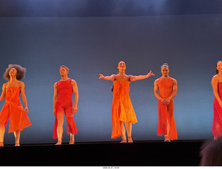 18 a2v. New York Cithy - Joyce Theater - Dave Parsons dance
