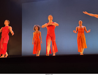 19 a2v. New York Cithy - Joyce Theater - Dave Parsons dance