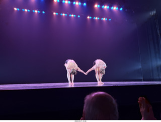 22 a2v. New York Cithy - Joyce Theater - Dave Parsons dance