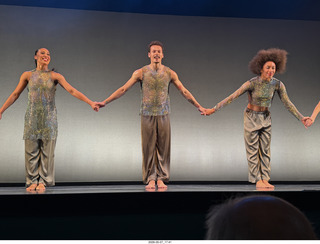 35 a2v. New York Cithy - Joyce Theater - Dave Parsons dance