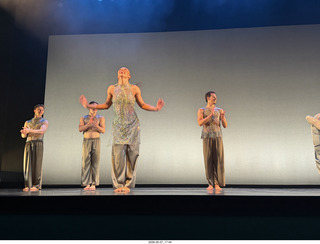 41 a2v. New York Cithy - Joyce Theater - Dave Parsons dance