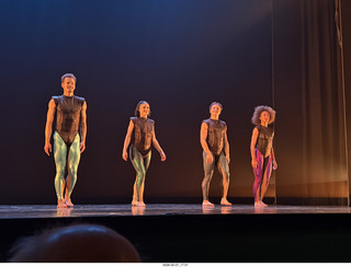 42 a2v. New York Cithy - Joyce Theater - Dave Parsons dance