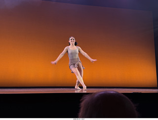 65 a2v. New York Cithy - Joyce Theater - Dave Parsons dance