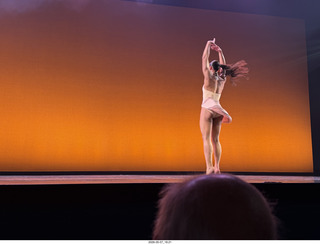 66 a2v. New York Cithy - Joyce Theater - Dave Parsons dance