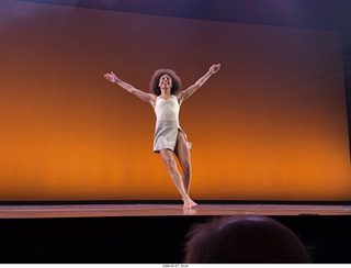 71 a2v. New York Cithy - Joyce Theater - Dave Parsons dance