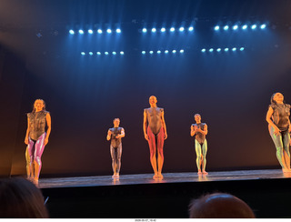 79 a2v. New York City - Joyce Theater - Dave Parsons dance
