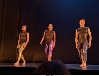 84 a2v. New York City - Joyce Theater - Dave Parsons dance