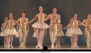196 a2v. New York City Ballet