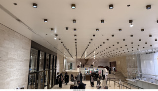 230 a2v. New York City Ballet