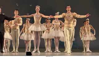 246 a2v. New York City Ballet