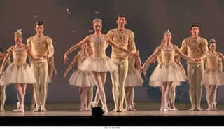 253 a2v. New York City Ballet