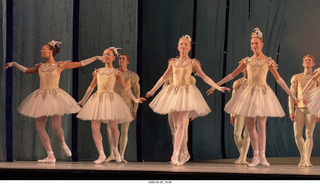 255 a2v. New York City Ballet