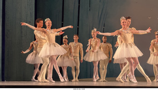 257 a2v. New York City Ballet