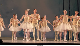 260 a2v. New York City Ballet