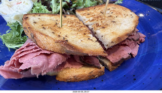 48 a2v. New York City - Carnegie Diner & Cafe sandwich