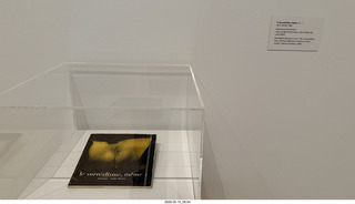 71 a2v. New York City - MoMA - Marcel Duchamp