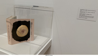 72 a2v. New York City - MoMA - Marcel Duchamp