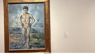 101 a2v. New York City - MoMA - Cezanne