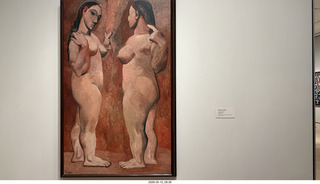 114 a2v. New York City - MoMA