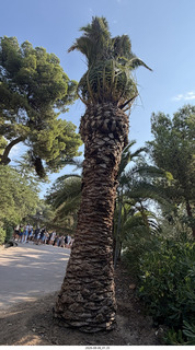 35 a2y. Spain - Barcelona - Park Guell (Gaudi)