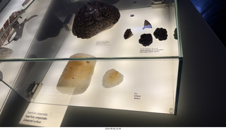 179 a2y. Spain - Barcelona - La Pedrera - museum display