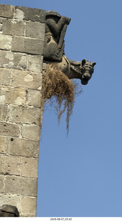 114 a2y. Spain - Barcelona - old Roman-Empire area - gargoyle