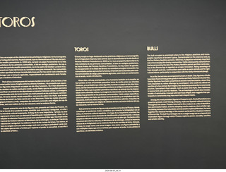 323 a2y. Spain - Barcelona - Born neighborhood - Picasso Museum sign