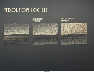 333 a2y. Spain - Barcelona - Born neighborhood - Picasso Museum sign