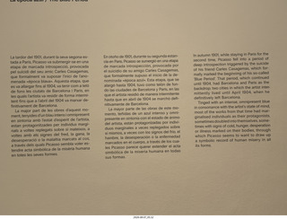 350 a2y. Spain - Barcelona - Born neighborhood - Picasso Museum sign