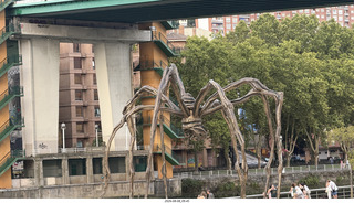 246 a2y. Spain - Bilbao - Guggenheim Museum - outside - spider