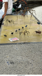278 a2y. Spain - Bilbao - Guggenheim Museum - gift shop - spiders