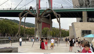 286 a2y. Spain - Bilbao - Guggenheim Museum - outside - spider