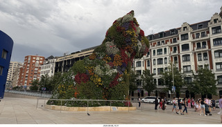 296 a2y. Spain - Bilbao - Guggenheim Museum - outside - big flower puppy