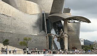 104 a2y. Spain - Bilbao - boat ride tour - Guggenheim Museum with spider