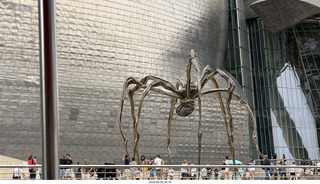 105 a2y. Spain - Bilbao - boat ride tour - Guggenheim Museum with spider