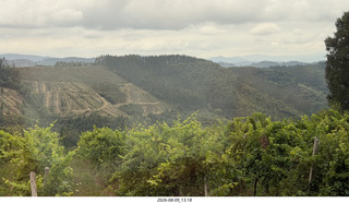 118 a2y. Spain - Bilbao wine tour
