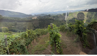 120 a2y. Spain - Bilbao wine tour - winery