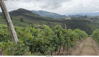 122 a2y. Spain - Bilbao wine tour - winery