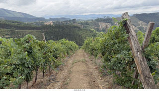 123 a2y. Spain - Bilbao wine tour - winery
