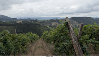 124 a2y. Spain - Bilbao wine tour - winery