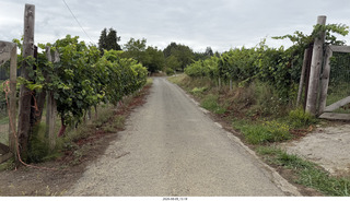 134 a2y. Spain - Bilbao wine tour - winery