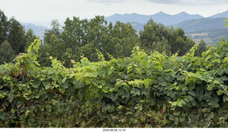 140 a2y. Spain - Bilbao wine tour - winery