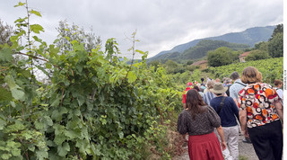 144 a2y. Spain - Bilbao wine tour winery