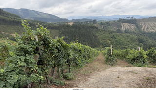 148 a2y. Spain - Bilbao wine tour winery