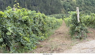 149 a2y. Spain - Bilbao wine tour winery