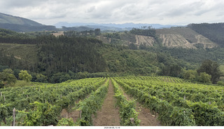 151 a2y. Spain - Bilbao wine tour winery