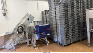 162 a2y. Spain - Bilbao wine tour winery - winemaking process