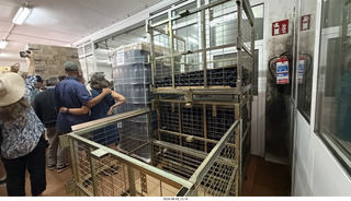 174 a2y. Spain - Bilbao wine tour winery - winemaking process