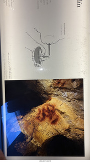 37 a2y. Spain - Museo de Altamira - drawings